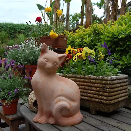 Nocleg ze śniadaniem Abbraccia Morfeo