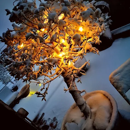 Abbraccia Morfeo Рим