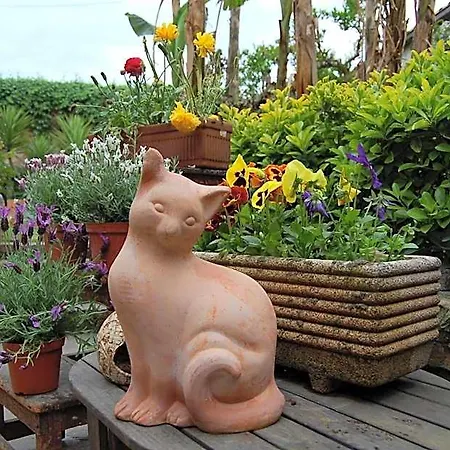 Abbraccia Morfeo Nocleg ze śniadaniem