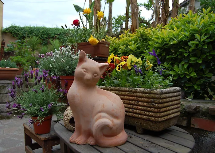 فندق مبيت وإفطار Abbraccia Morfeo